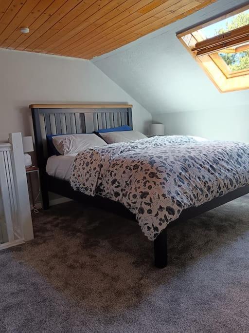 Apartament Dingle Escape -2 Bed -Sleeps 4 Zewnętrze zdjęcie